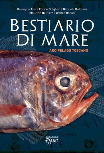 Bestiario di mare  - Libro C&P Adver Effigi 2014, Microcosmi | Libraccio.it