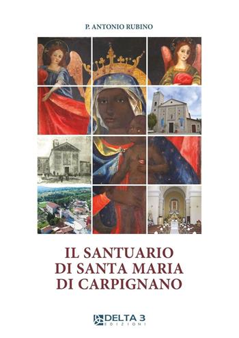 Il santuario di Santa Maria di Carpignano - Antonio Rubino - Libro Delta 3 2015 | Libraccio.it