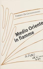 Medio Oriente in fiamme