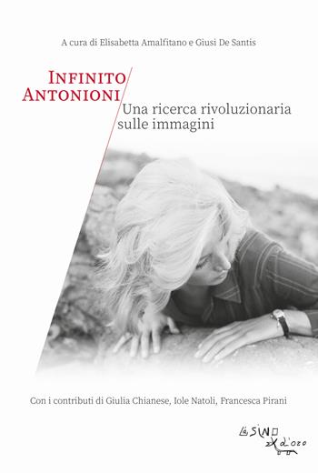 Infinito Antonioni. Una ricerca rivoluzionaria sulle immagini  - Libro L'Asino d'Oro 2024 | Libraccio.it