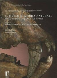 Il museo di storia naturale dell'Università degli studi di Firenze. Le collezioni geologiche e paleontologiche. Ediz. italiana e inglese - Simonetta Monechi, Lorenzo Rook - Libro Firenze University Press 2010, Cataloghi e collezioni | Libraccio.it