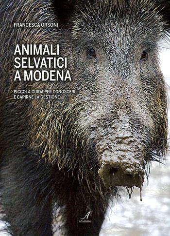 Animali selvatici a Modena. Piccola guida per conoscerli e capirne la gestione - Francesca Orsoni - Libro Edizioni Artestampa 2016 | Libraccio.it