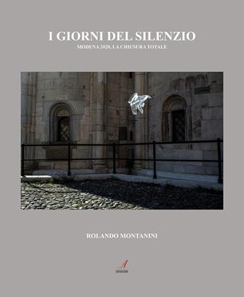 I giorni del silenzio. Modena 2020, la chiusura totale - Rolando Montanini - Libro Edizioni Artestampa 2020 | Libraccio.it