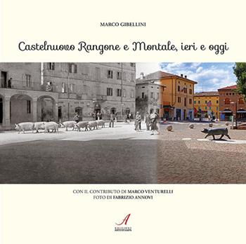 Castelnuovo Rangone e Montale, ieri e oggi - Marco Gibellini - Libro Edizioni Artestampa 2021 | Libraccio.it