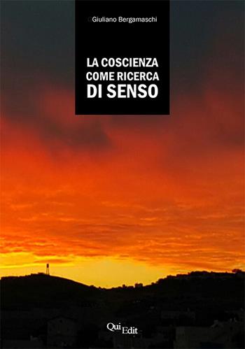 La coscienza come ricerca di senso - Giuliano Bergamaschi - Libro QuiEdit 2016 | Libraccio.it