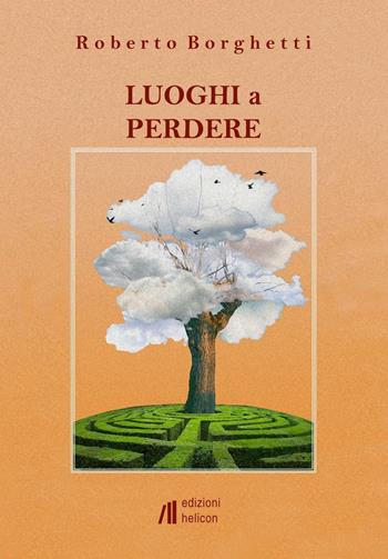 Luoghi a perdere - Roberto Borghetti - Libro Helicon 2016 | Libraccio.it