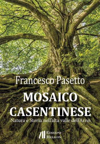Mosaico casentinese. Natura e storia nell'alta valle dell'Arno - Francesco Pasetto - Libro Helicon 2022 | Libraccio.it