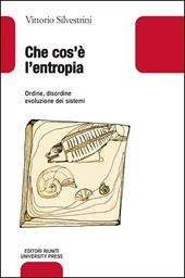 Che cos'è l'entropia. Ordine, disordine, evoluzione dei sistemi