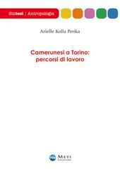 Camerunesi a Torino: percorsi di lavoro