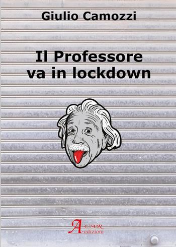 Il professore va in lockdown - Giulio Camozzi - Libro A.CAR. 2021, Brividi & Emozioni | Libraccio.it