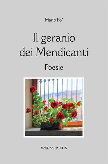 Il geranio dei mendicanti - Mario Po' - Libro Marcianum Press 2022, Poesie | Libraccio.it