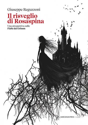 Il risveglio di Rosaspina. Una prospettiva sulle Fiabe dei Grimm - Giuseppe Reguzzoni - Libro Marcianum Press 2024, LLIA. Letture e letteratura per l’infanzia e l’adolescenza | Libraccio.it