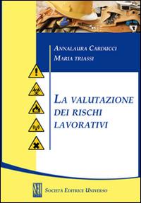 La valutazione dei rischi lavorativi - Annalaura Carducci, Maria Triassi - Libro SEU 2013 | Libraccio.it
