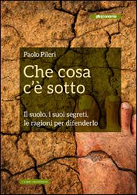Che cosa c'è sotto. Il suolo, i suoi segreti, le ragioni per difenderlo - Paolo Pileri, Gianni Biondillo - Libro Altreconomia 2015 | Libraccio.it