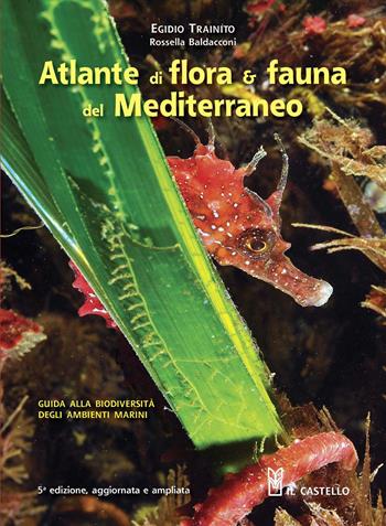 Atlante di flora & fauna del Mediterraneo. Ediz. illustrata - Egidio Trainito - Libro Il Castello 2011, Natura | Libraccio.it