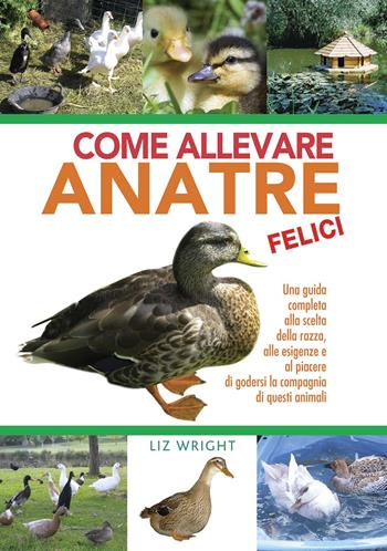 Come allevare anatre felici - Liz Wright - Libro Il Castello 2015 | Libraccio.it