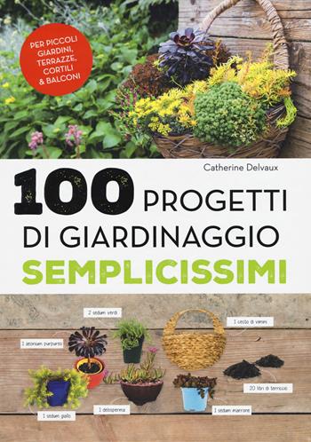 100 progetti di giardinaggio semplicissimi - Catherine Delvaux - Libro Il Castello 2018, Giardinaggio | Libraccio.it