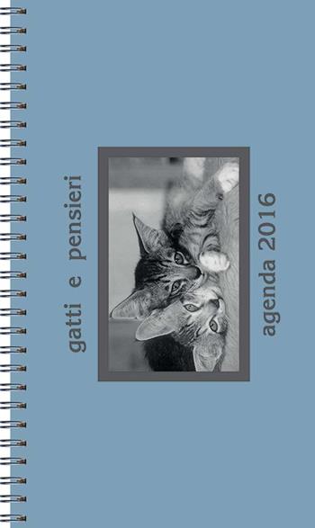 Gatti e pensieri. Agenda 2016  - Libro Il Castello 2015, Libri regalo | Libraccio.it