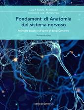 Fondamenti di anatomia del sistema nervoso. Manuale basato sull'opera di Luigi Cattaneo