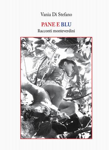 Pane e blu. Racconti monteverdini - Vania Di Stefano - Libro Tagete 2018, Memorie del Novecento | Libraccio.it