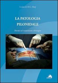 La patologia pilonidale. Novità nel trattamento chirurgico - Marco Muzi - Libro Alpes Italia 2011 | Libraccio.it