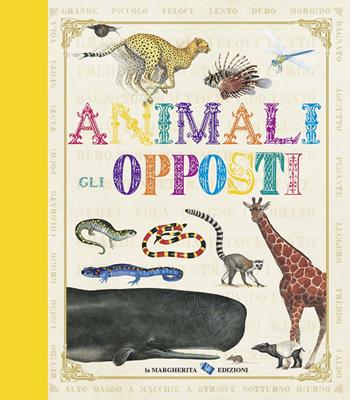 Animali. Gli opposti. Ediz. illustrata  - Libro La Margherita 2014 | Libraccio.it