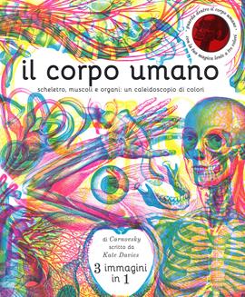 Il corpo umano. Scheletro, muscoli e organi: un caleidoscopio di colori. Ediz. a colori - Kate Davies, Carnovsky - Libro La Margherita 2017, Libri illustrati | Libraccio.it
