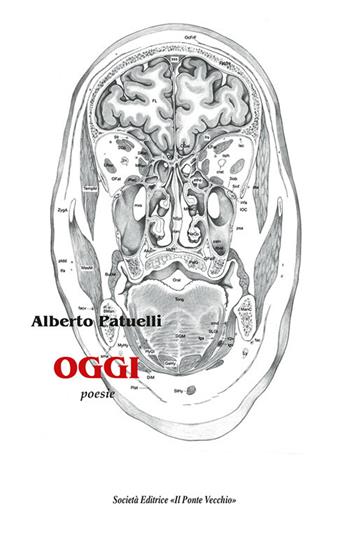 Oggi - Alberto Patuelli - Libro Il Ponte Vecchio 2019, Alma poesis. Poeti della Romagna contemp. | Libraccio.it