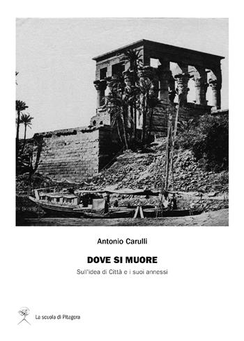 Dove si muore. Sull'idea di città e i suoi annessi - Antonio Carulli - Libro La Scuola di Pitagora 2024 | Libraccio.it