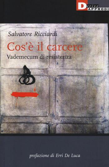 Cos'è il carcere. Vademecum di resistenza - Salvatore Ricciardi - Libro DeriveApprodi 2015, Narrativa | Libraccio.it