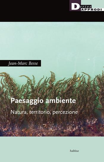 Paesaggio ambiente. Natura, territorio, percezione - Jean-Marc Besse - Libro DeriveApprodi 2020, Habitus | Libraccio.it