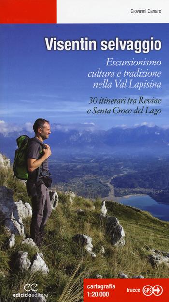 Visentin selvaggio. Escursionismo cultura e tradizione nella Val Lapisina. 30 itinerari tra Revine e Santa Croce del Lago - Giovanni Carraro - Libro Ediciclo 2015, Escursionismi | Libraccio.it