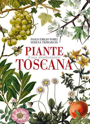 Piante d'uso etnobotanico in Toscana - Paolo Emilio Tomei, Serena Trimarchi - Libro Maria Pacini Fazzi Editore 2018 | Libraccio.it