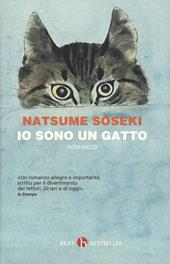 Io sono un gatto