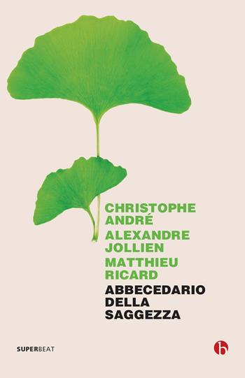 Abbecedario della saggezza - Christophe André, Alexandre Jollien, Matthieu Ricard - Libro BEAT 2021, Superbeat | Libraccio.it