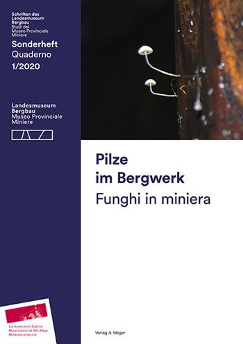 Pilze im Bergwerk-Funghi in miniera. Ediz. bilingue - Christian Terzer, Armin Torggler, Werner Amrain - Libro Weger 2021 | Libraccio.it