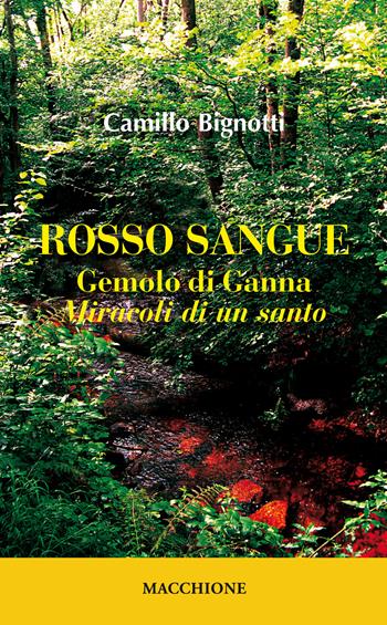 Rosso sangue. Gemolo di Ganna. «Miracoli di un santo» - Camillo Bignotti - Libro Macchione Editore 2018 | Libraccio.it
