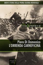 Libraccio Breve storia della Prima Guerra Mondiale vol. 5 - L'orrenda carneficina (audiolibro)