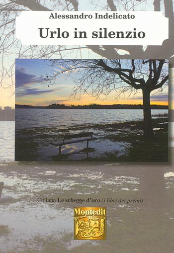 Urlo in silenzio - Alessandro Indelicato - Libro Montedit 2015, Le schegge d'oro (i libri dei premi) | Libraccio.it