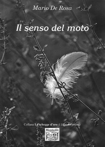 Il senso del moto - Mario De Rosa - Libro Montedit 2015, Le schegge d'oro (i libri dei premi) | Libraccio.it