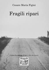 Fragili ripari