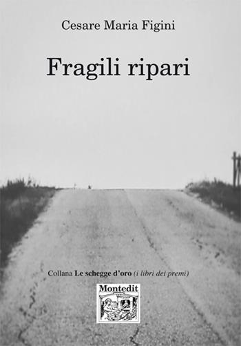 Fragili ripari - Cesare Maria Figini - Libro Montedit 2019, Le schegge d'oro (i libri dei premi) | Libraccio.it