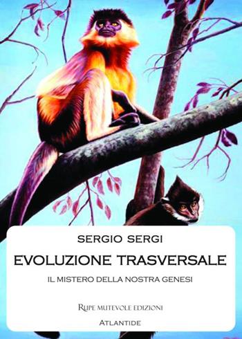 Evoluzione trasversale. Il mistero della nostra genesi - Sergio Sergi - Libro Rupe Mutevole 2017, Atlantide | Libraccio.it