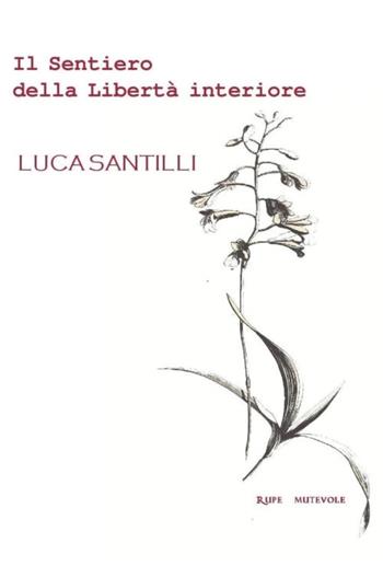 Il sentiero della libertà interiore - Luca Santilli - Libro Rupe Mutevole 2018, Oltre il confine | Libraccio.it