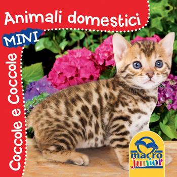 Animali domestici. Coccole e coccole mini. Ediz. illustrata  - Libro Macro Junior 2016 | Libraccio.it