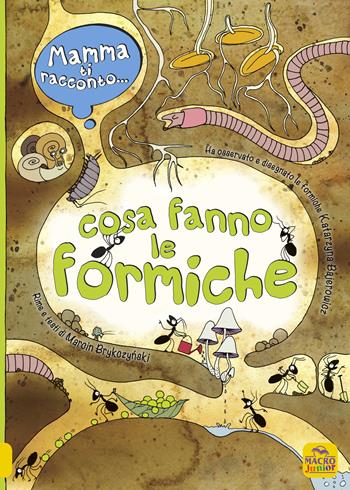 Mamma ti racconto... cosa fanno le formiche. Ediz. a colori - Marcin Brykczynski, Katarzyna Bajerowicz - Libro Macro Junior 2021 | Libraccio.it
