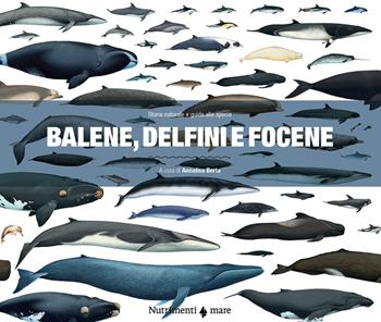 Balene, delfini e focene. Storia naturale e guida alle specie  - Libro Nutrimenti 2021, Mare | Libraccio.it