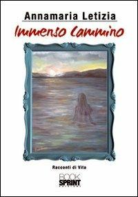Immenso cammino - Annamaria Letizia - Libro BooksprintEdizioni 2012 | Libraccio.it