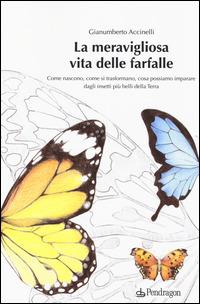 La meravigliosa vita delle farfalle. Come nascono, come si trasformano, cosa possiamo imparare dagli insetti più belli della Terra. Ediz. illustrata - Gianumberto Accinelli - Libro Pendragon 2014 | Libraccio.it