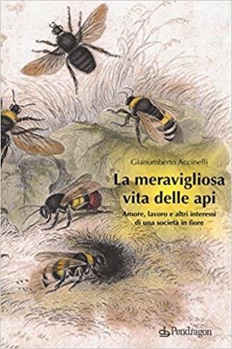 La meravigliosa vita delle api. Amore, lavoro e altri interessi di una società in fiore - Gianumberto Accinelli - Libro Pendragon 2016 | Libraccio.it